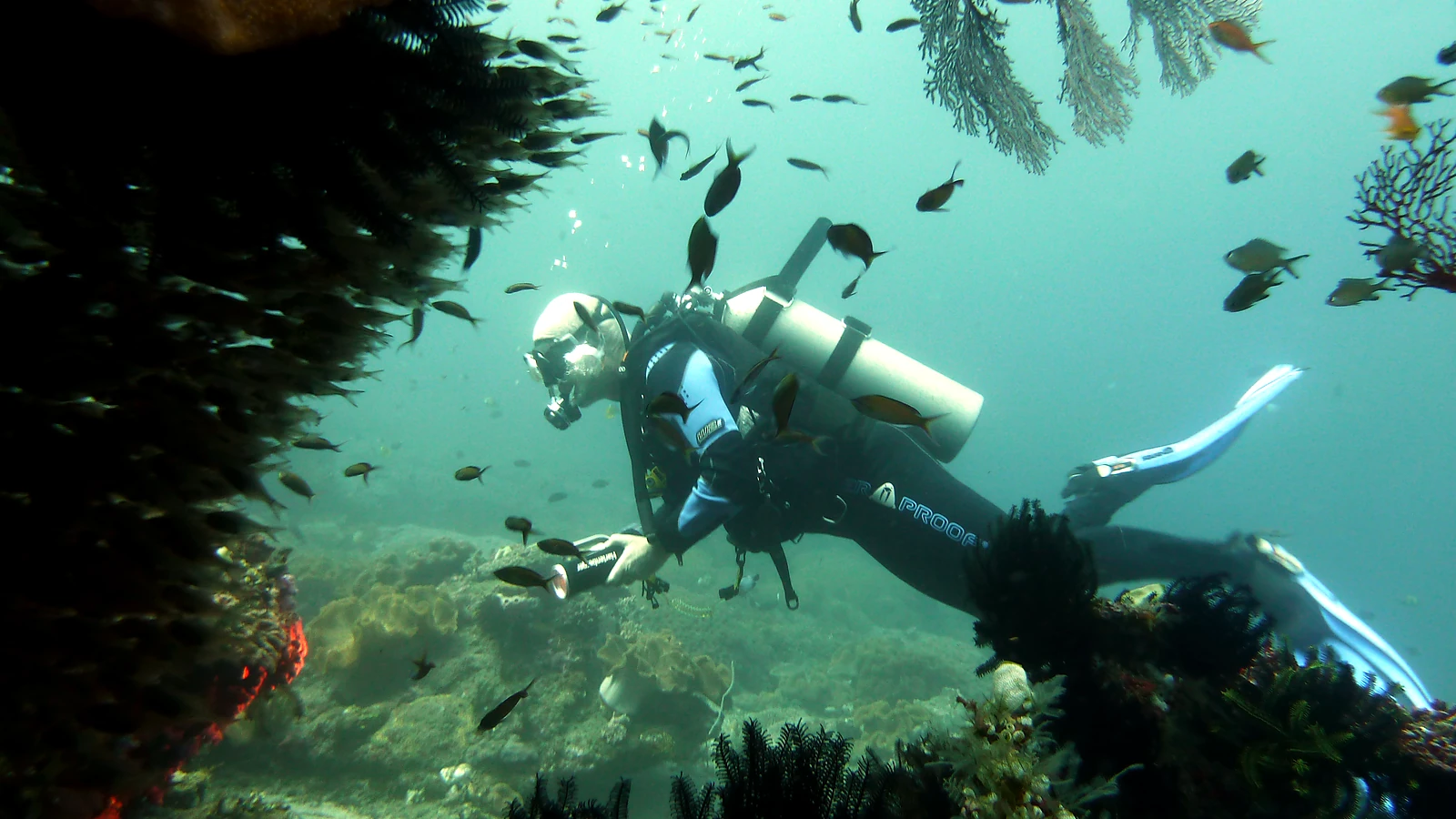 Kubu · Boga Wreck: Bali unter Wasser im Detail.