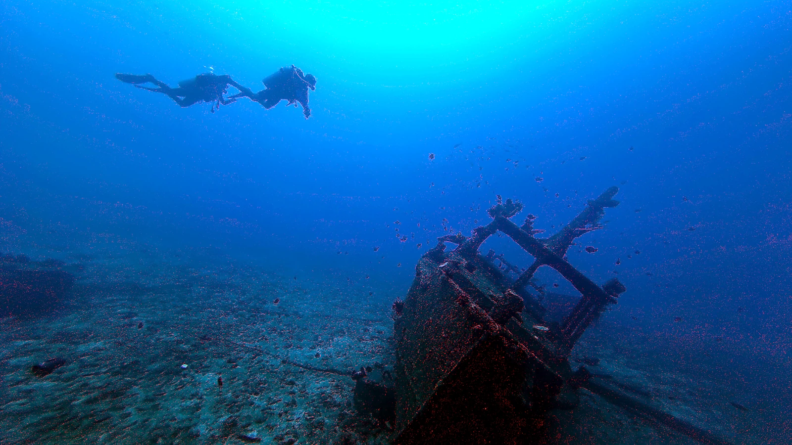 Japanese Wreck: Bali unter Wasser im Detail.