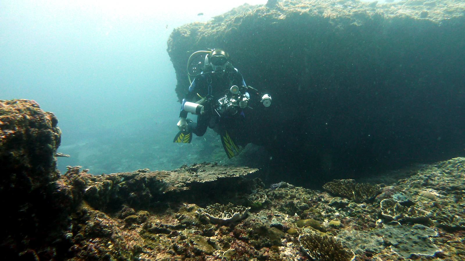 USAT Liberty: Bali unter Wasser im Detail.