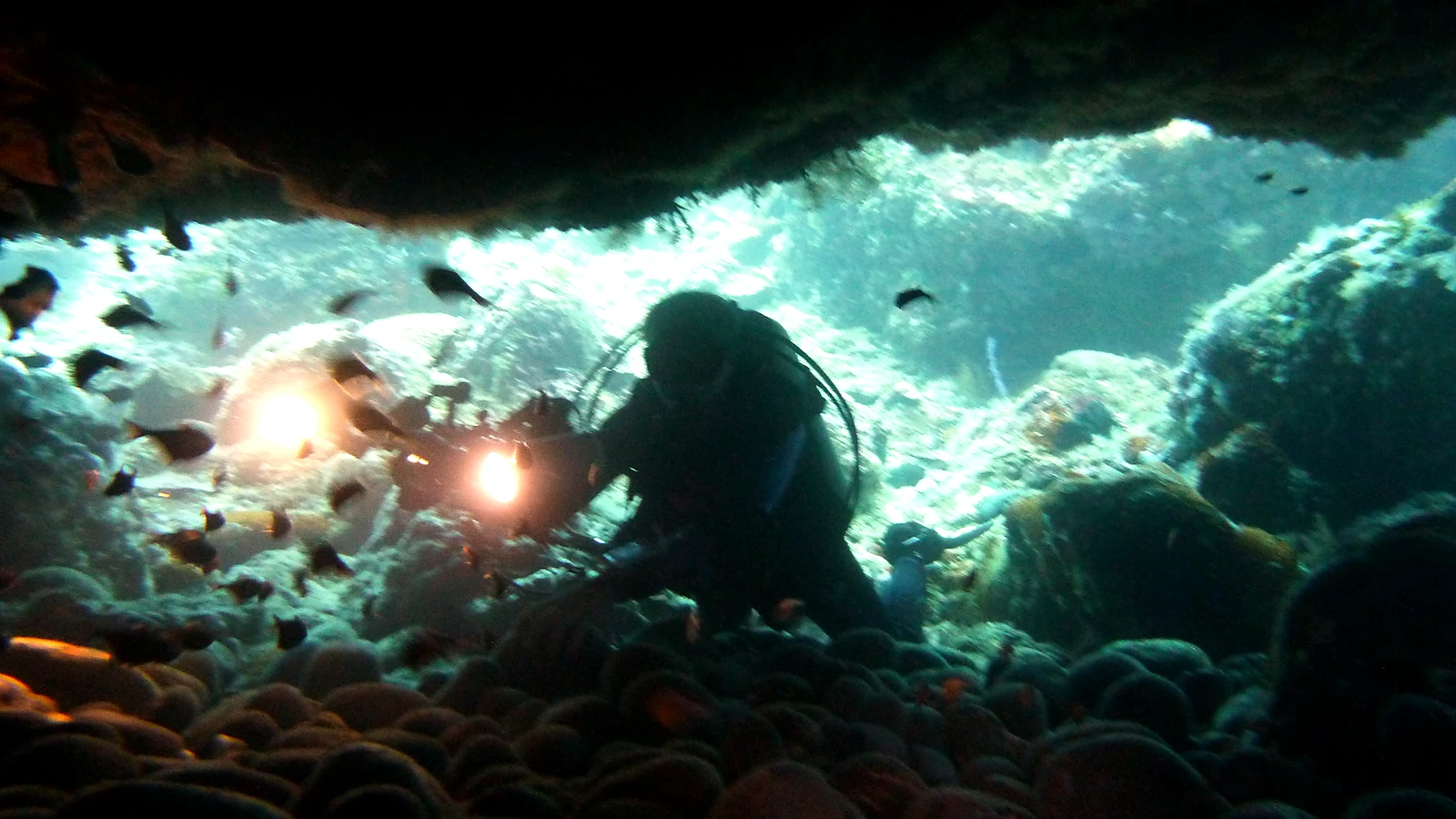 Titelbild zum Artikel: PADI Open Water Diver auf Bali: Dein kompletter Kursguide